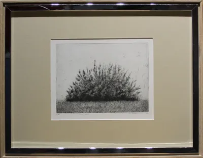Tomáš Žemla (1984) / Zlatý dážď 
