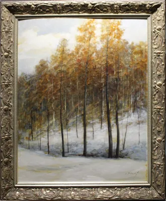 Vladimír Plachý (1956) / Zimný les